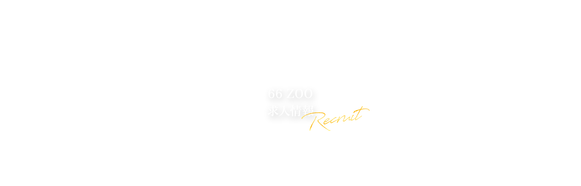 66 ZOO 求人情報